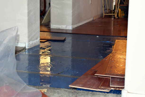 Professional Water Extraction technician working in Pacific, MO